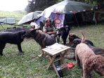Clickez pour agrandir